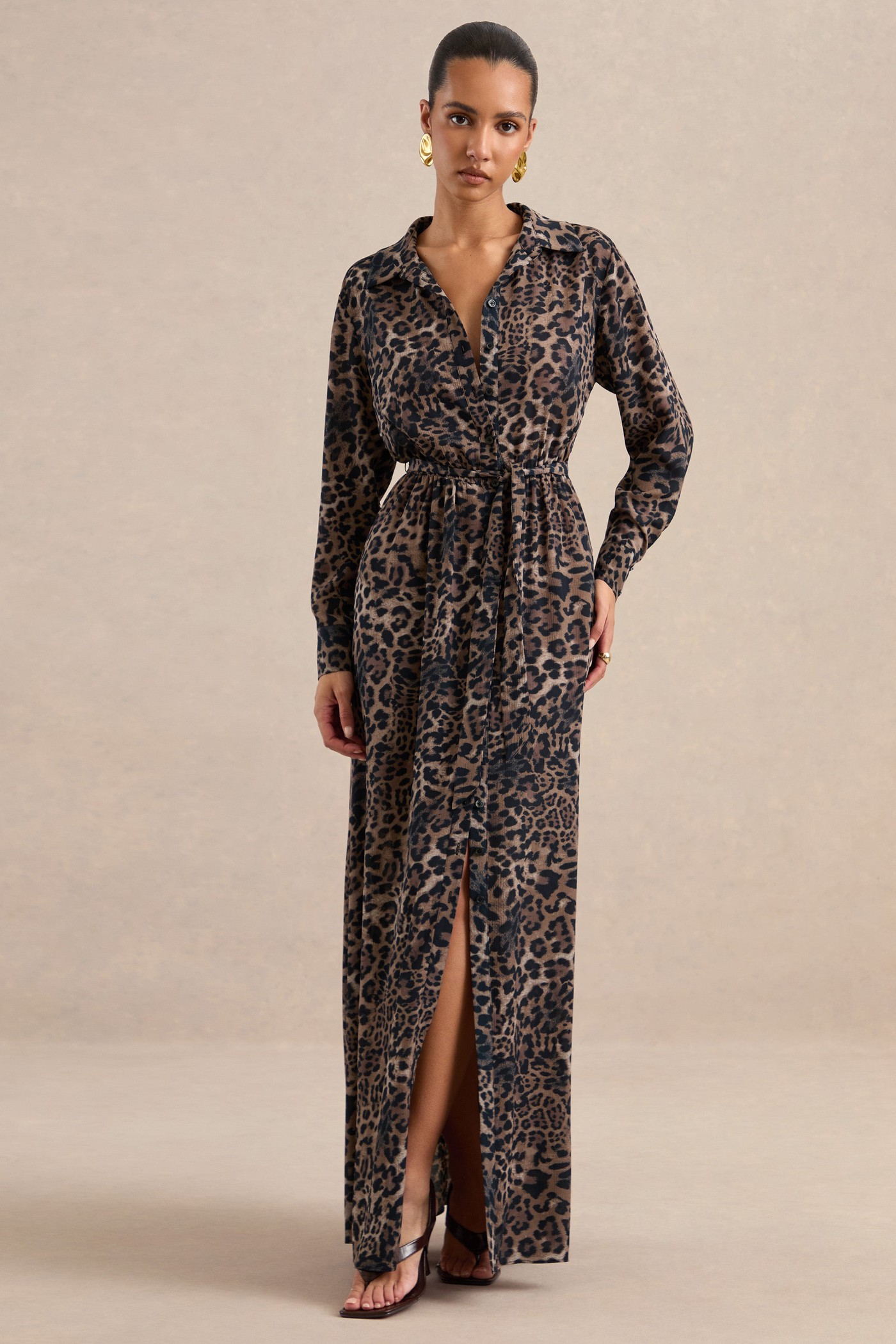 Tessalyn | Brown Leopard Print Chiffon V Neck Long Sleeve Maxi Dress With Sheer Detail view 3