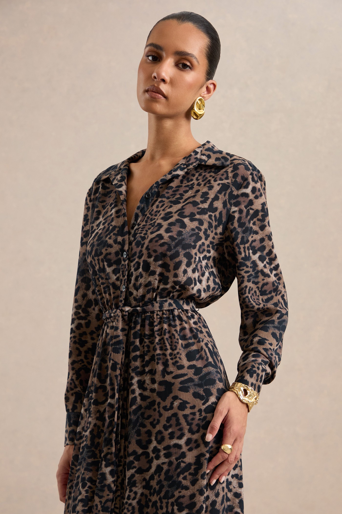 Tessalyn | Brown Leopard Print Chiffon V Neck Long Sleeve Maxi Dress With Sheer Detail view 4