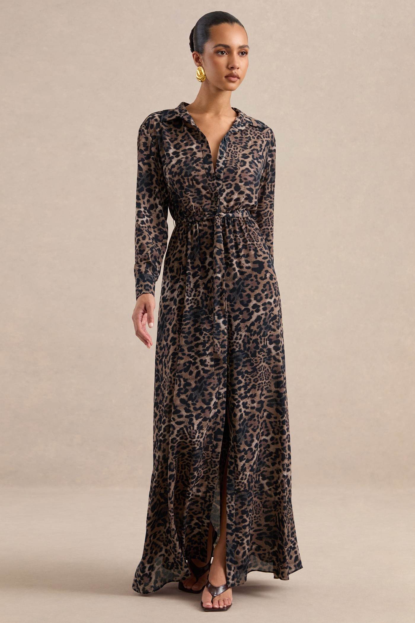 Tessalyn | Brown Leopard Print Chiffon V Neck Long Sleeve Maxi Dress With Sheer Detail